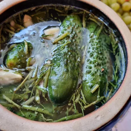 Przystanek Podgorze 게스트하우스