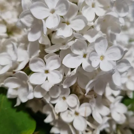 Przystanek Podgorze 게스트하우스 3*