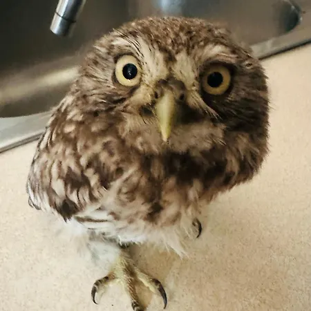 Przystanek Podgorze Guest house