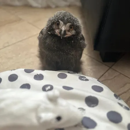 게스트하우스 Przystanek Podgorze 3*