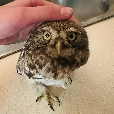 Przystanek Podgorze 게스트하우스