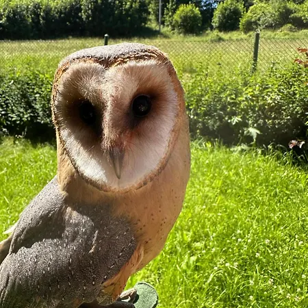 게스트하우스 Przystanek Podgorze 3*