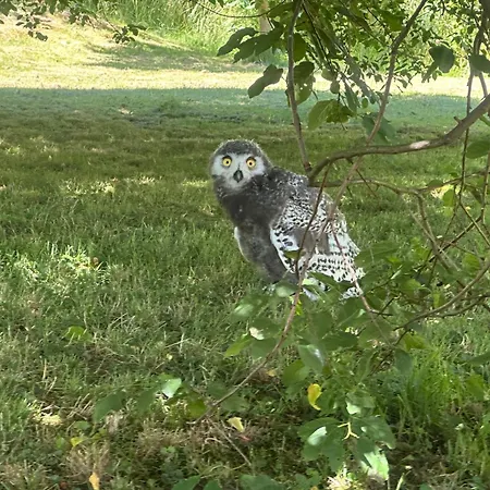 Przystanek Podgorze Guest house Duszniki Zdroj