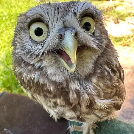 Przystanek Podgorze 3* 두슈니키 즈드로지