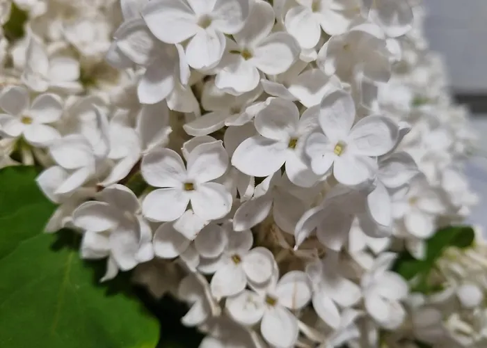 Przystanek Podgórze Pensjonat 3*