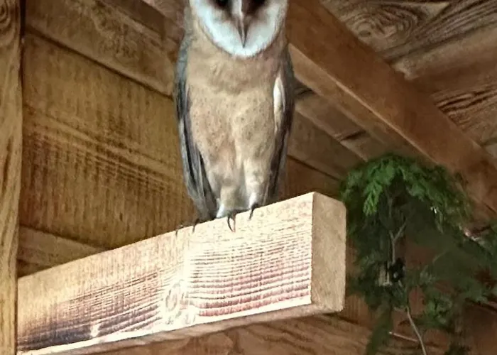 Przystanek Podgórze