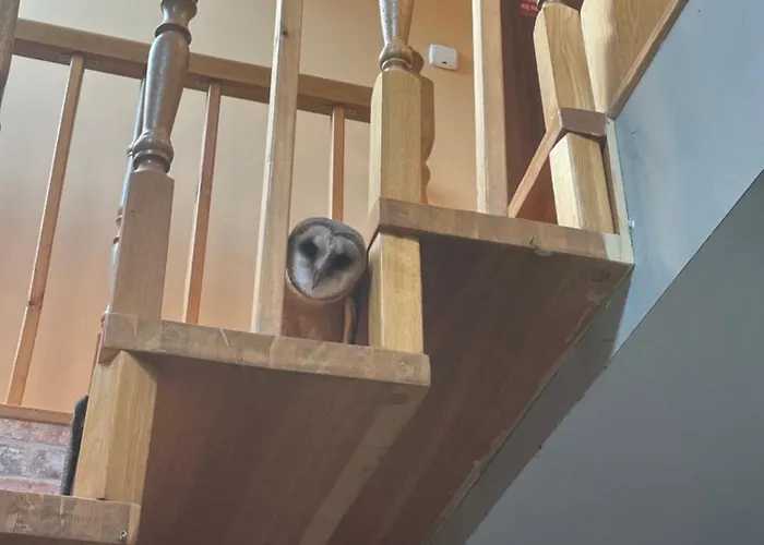 Przystanek Podgórze