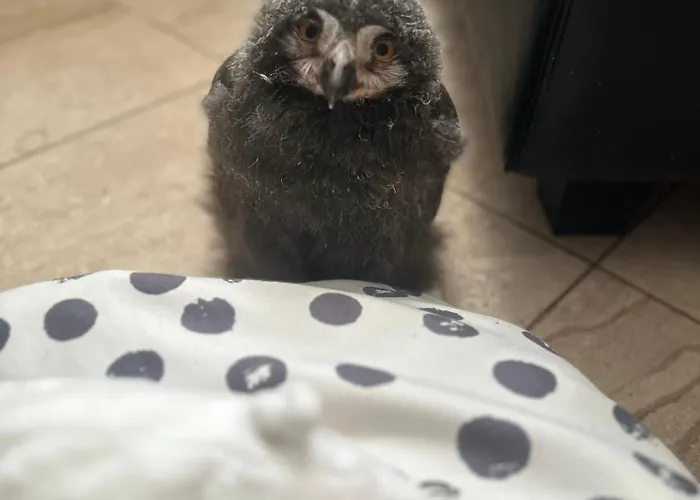 Pensjonat Przystanek Podgórze 3*