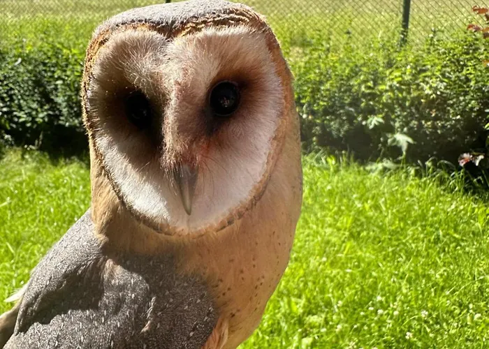 Pensjonat Przystanek Podgórze 3*