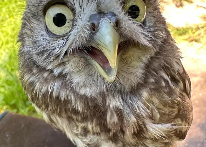 Przystanek Podgorze 3* Душники-Здруй