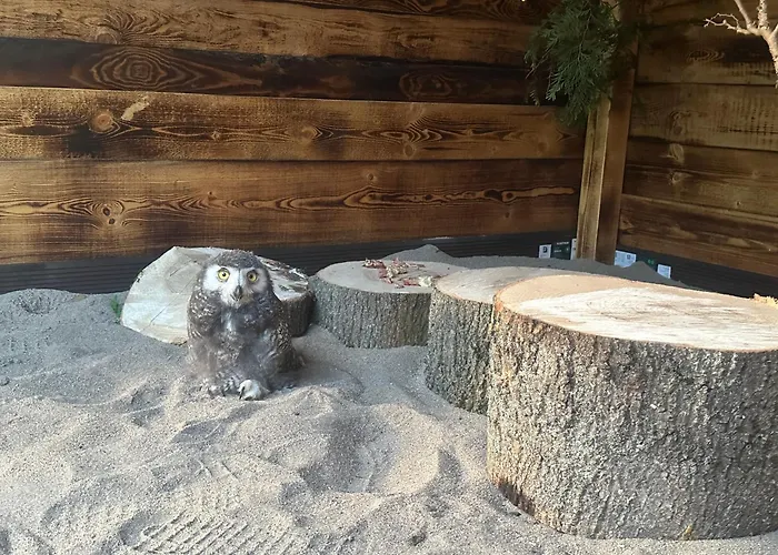 Przystanek Podgorze 3* Душники-Здруй